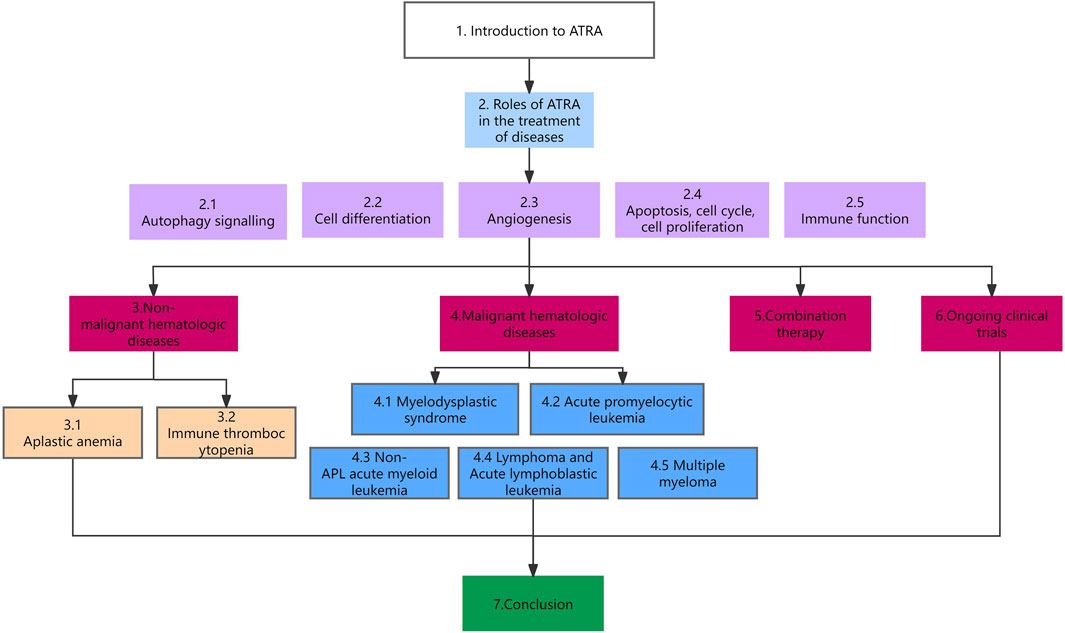 Entendendo o Impacto na Sua Experiência Digital - inspiração 2