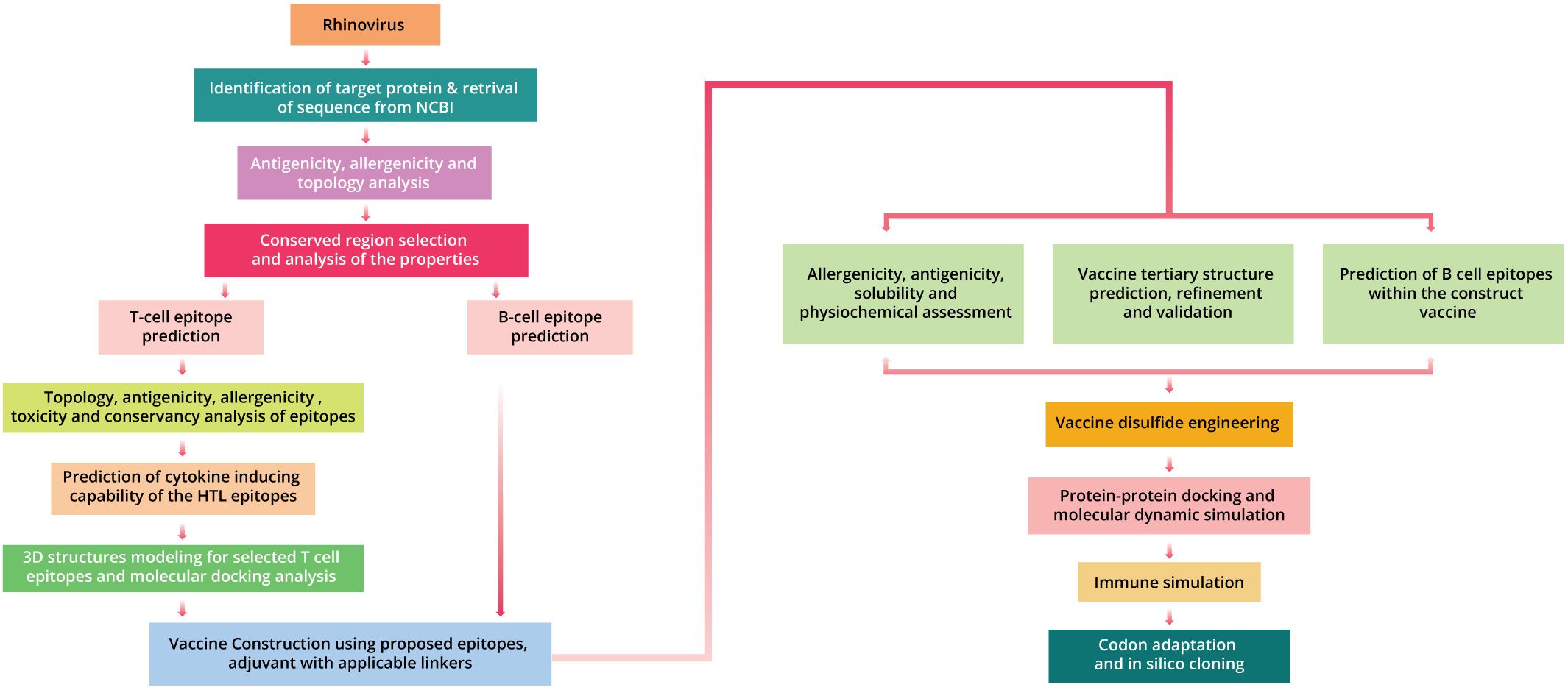 Otimizando Seu Feed com o 7SA - inspiração 2