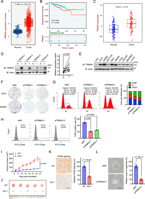 Adaptando Sua Estratégia Para o Algoritmo 9216 - inspiração 2