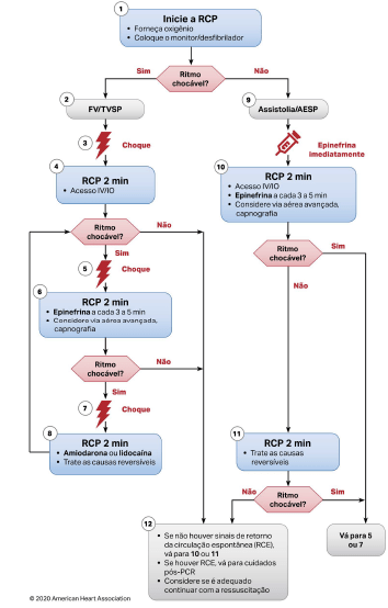 Como o PCR Seleciona o Que Vai Para Sua Tela - inspiração 1