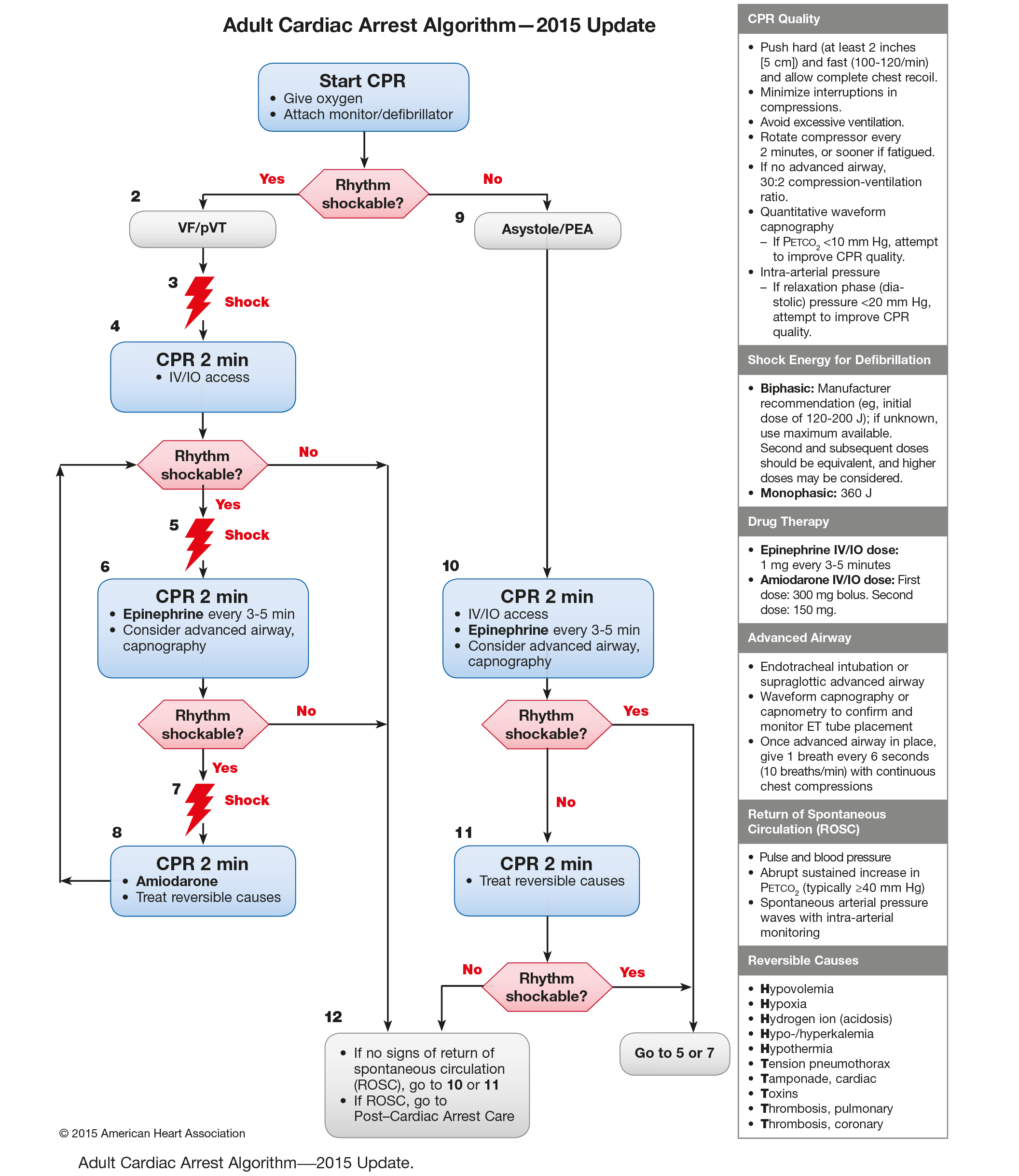Como o PCR Seleciona o Que Vai Para Sua Tela - inspiração 2