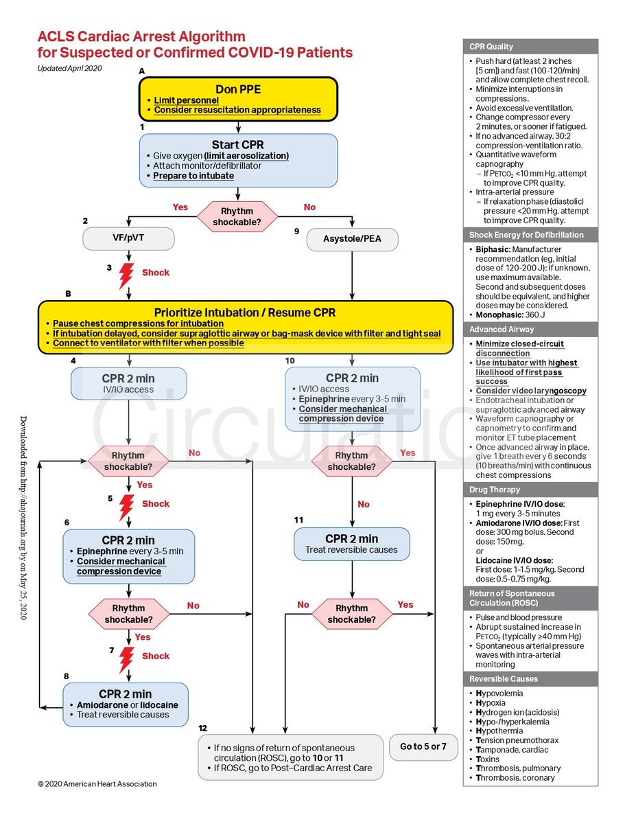 A Relevância do Conteúdo: O Que o PCR Considera Importante - inspiração 1