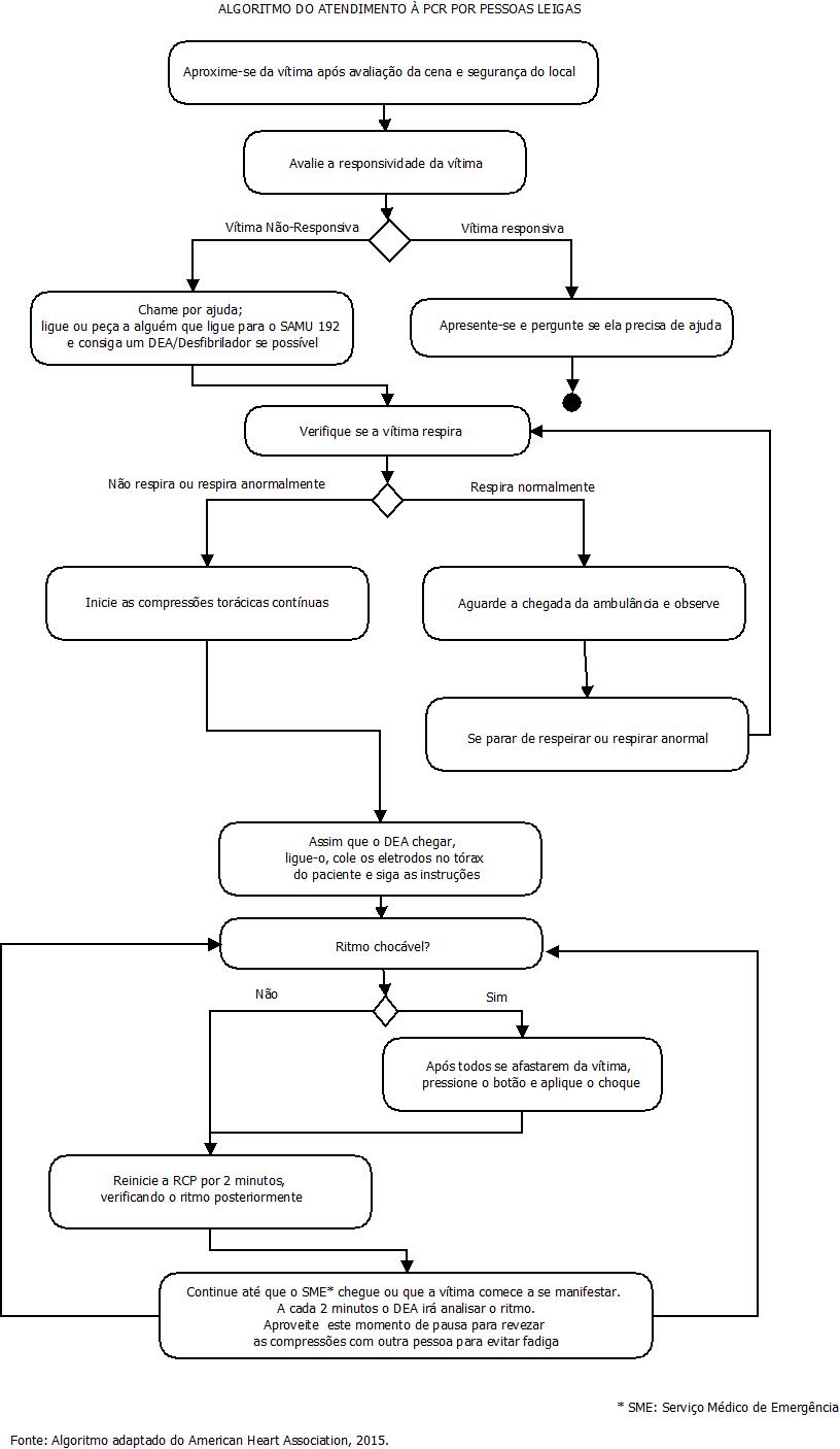 A Diversidade de Conteúdo: O Equilíbrio Que o PCR Busca - inspiração 1
