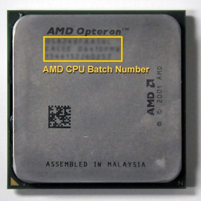 Dicas para Evitar Problemas Futuros - inspiração 1