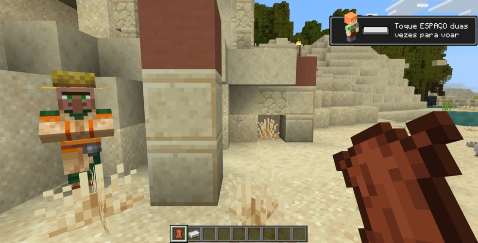 A Sela em Ação: Encontrando Seu Cavalo Ideal - inspiração 2