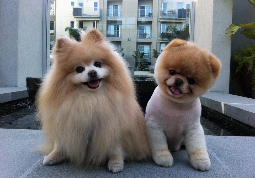 Ferramentas Integradas: Um Ecossistema Pronto para Usar - inspiração 1