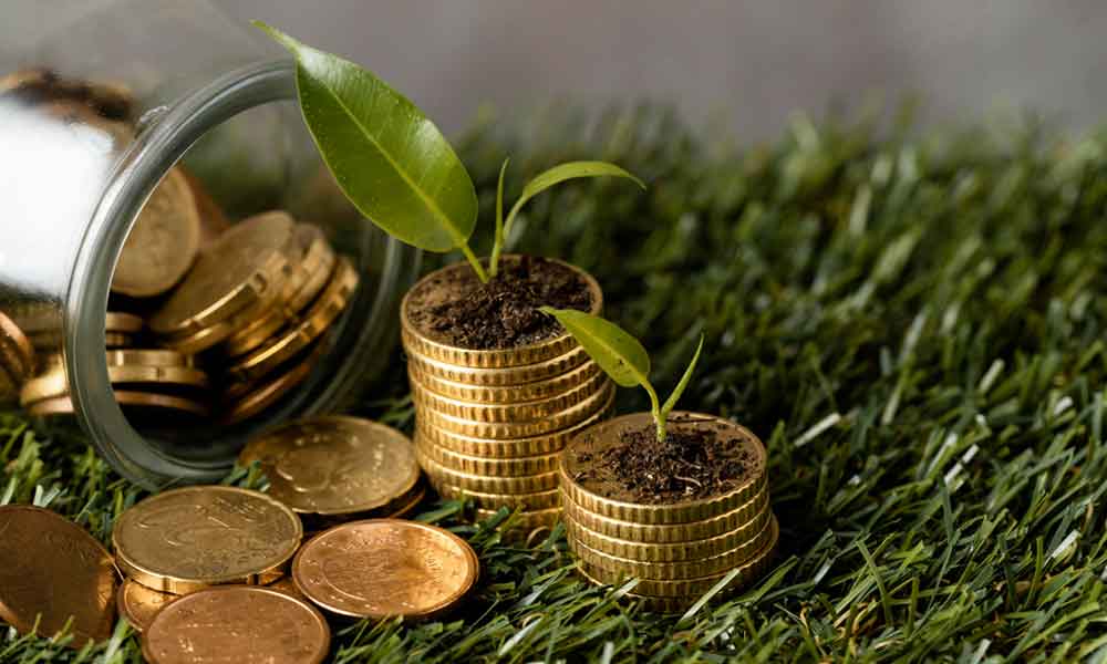 Menos Dependência de Empresas: Controle em Suas Mãos - inspiração 1