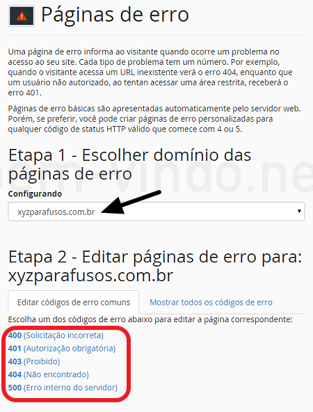 Não Pensar no Futuro: Escolher um Nome que Limita o Crescimento - inspiração 1