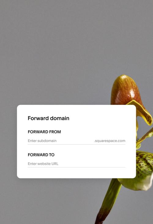 Não Pesquisar Palavras-Chave Estratégicas para SEO - inspiração 2