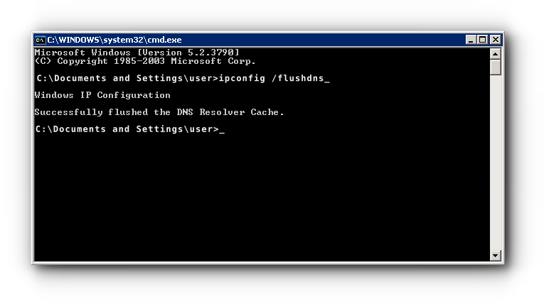 Passo a Passo para Flush DNS no Windows - inspiração 1