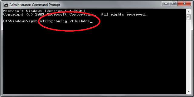 Passo a Passo para Flush DNS no Windows - inspiração 2