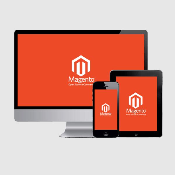 Entenda os Tipos de Hospedagem Disponíveis - inspiração 2