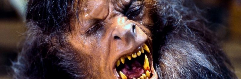 O Lobisomem no Cinema Independente: Ousadia e Novas Perspectivas - inspiração 1