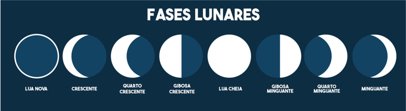 Limpeza Energética: Preparando o Espaço para Novas Vibrações - inspiração 1