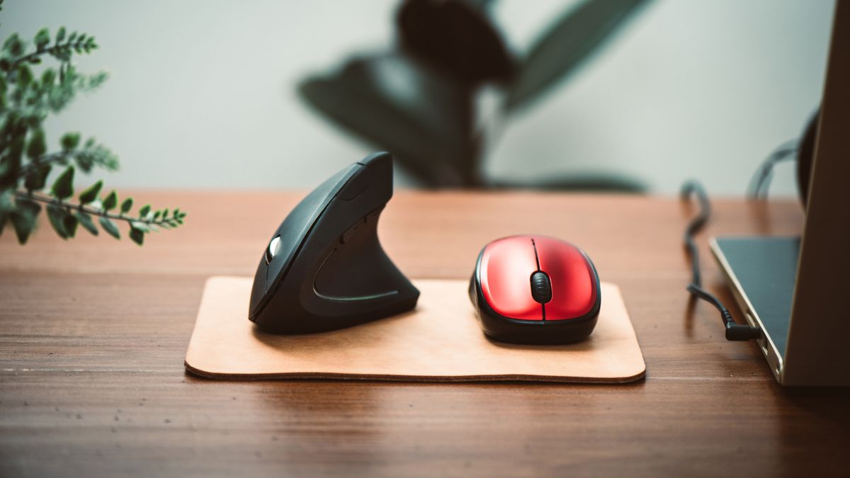 Cuidados Essenciais para Prolongar a Vida do Seu Mouse - inspiração 1