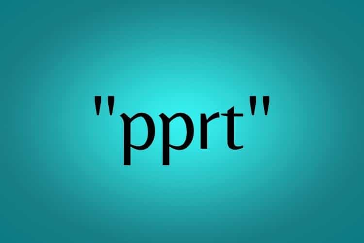 Decifrando o 'P' de Paixão: Conectando-se com o Que Ama - inspiração 2