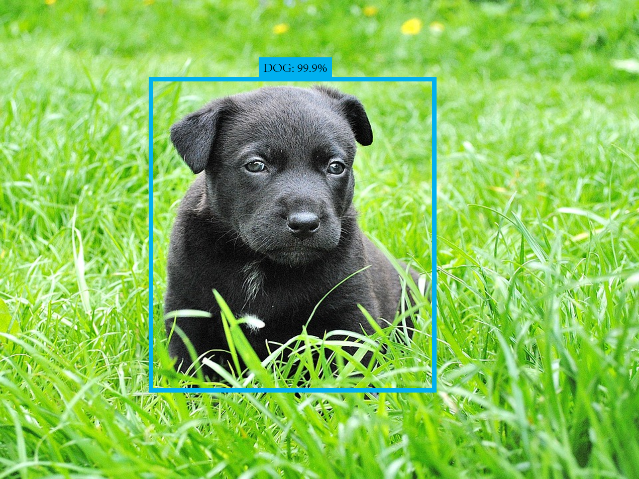 Por Que o TensorFlow se Destaca no Cenário da IA? - inspiração 1