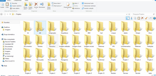Subpastas: Detalhando o Essencial sem Exageros - inspiração 1