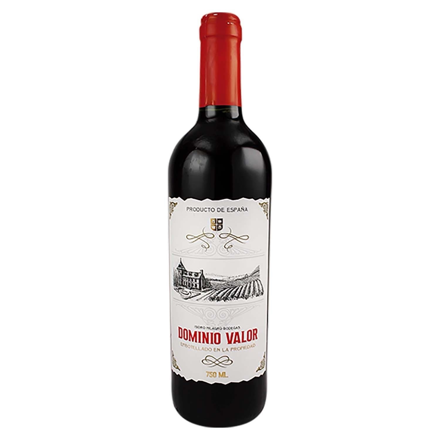 O Que Define o Valor de um Domínio: Uma Visão Geral - inspiração 2