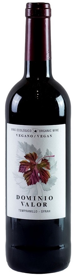 Domínios Curtos e Memoráveis: Um Investimento Inteligente - inspiração 2