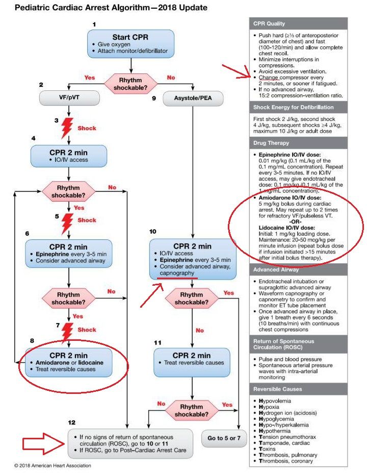 algoritmo acls taquiarritmias