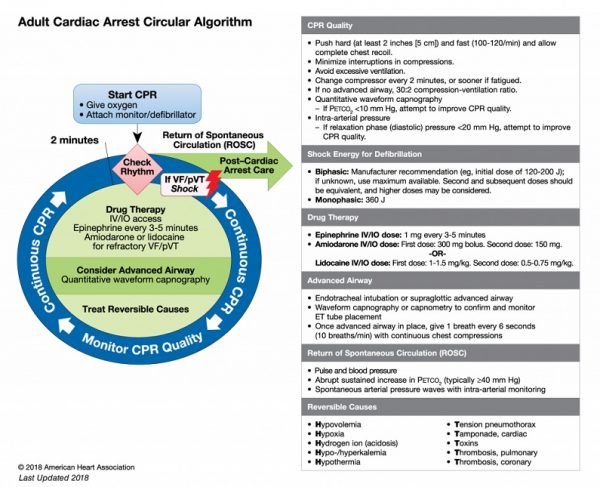 algoritmo acls taquiarritmias