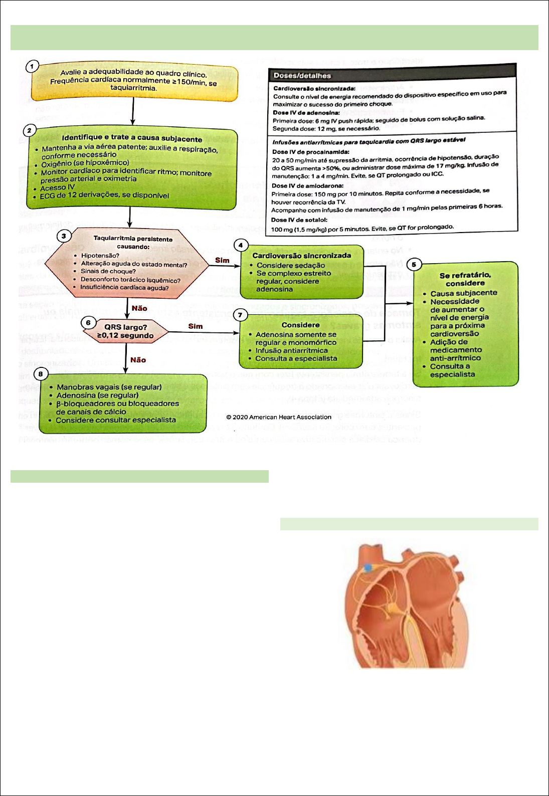 Guia Completo de Cardioversão Elétrica no ACLS