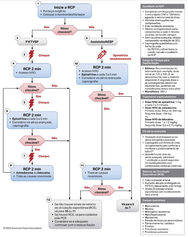 erros comuns no algoritmo bls