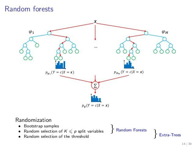algoritmo random forest