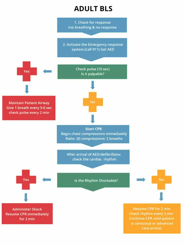 Novidades em ACLS: Acesso IV vs IO