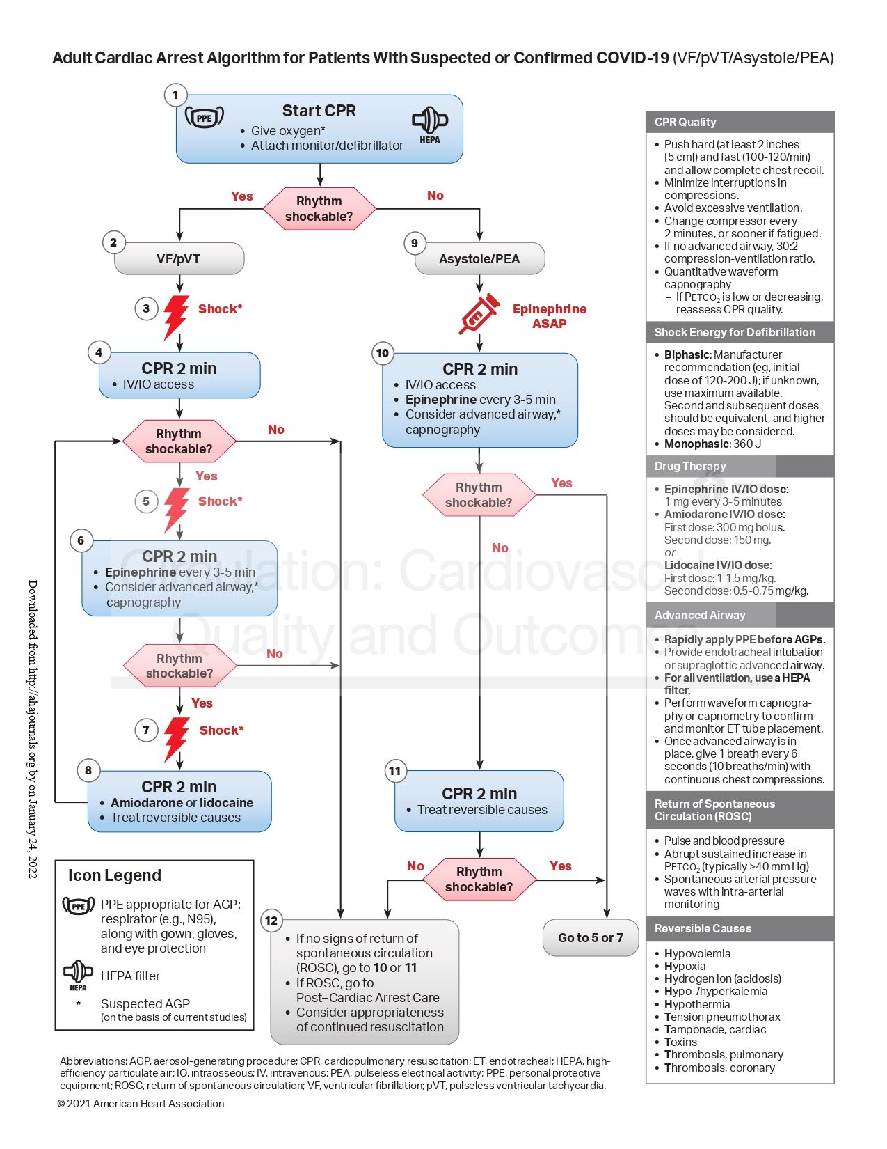 A Importância da Capnografia na RCP Moderna