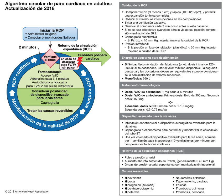 Diferenças entre RCP para Leigos e Profissionais