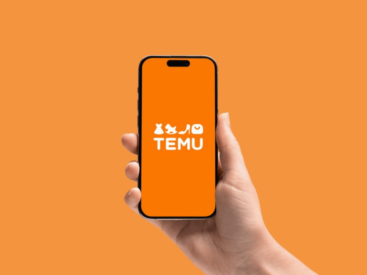 Como funcionam as promoções da Temu: Entenda os