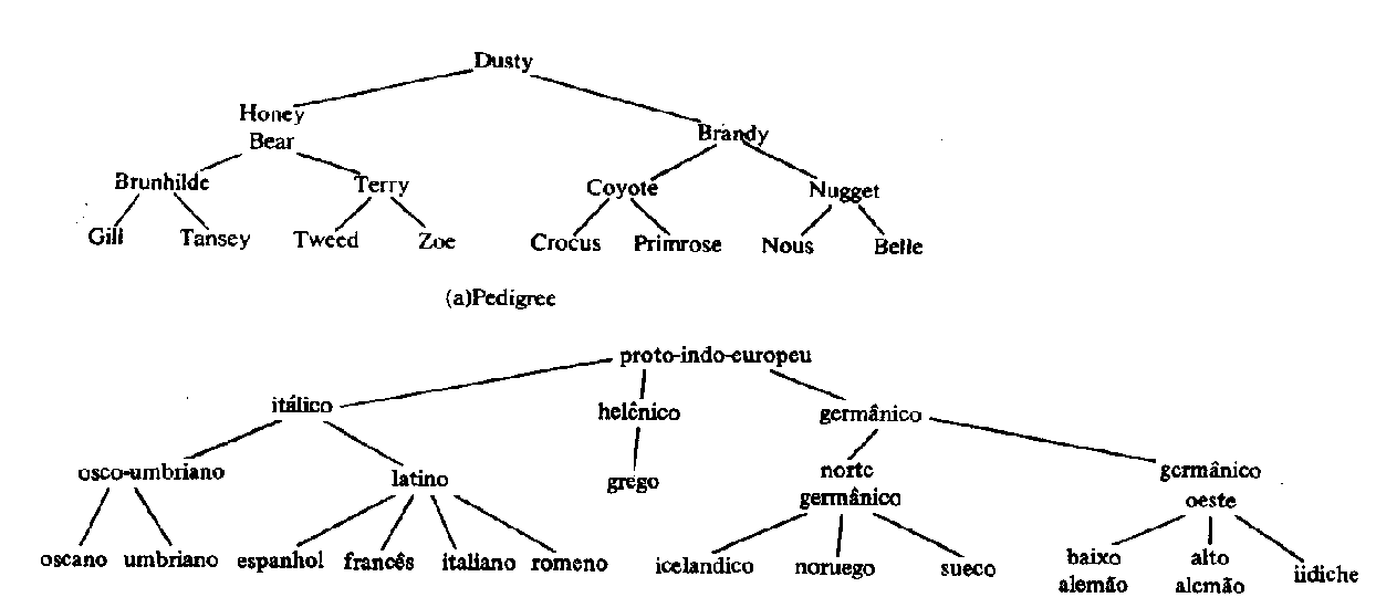 árvores em estrutura de dados