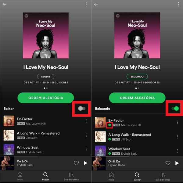 baixar musicas no spotify