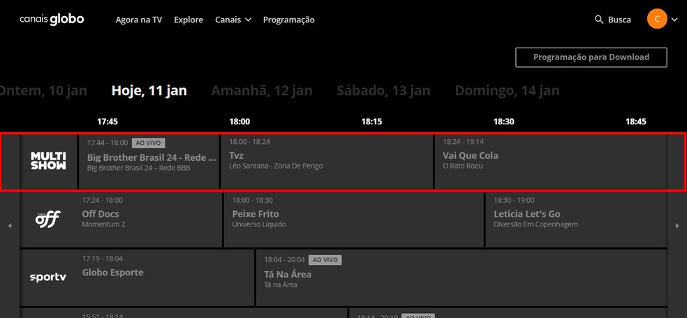 erros comuns ao assistir bbb ao vivo