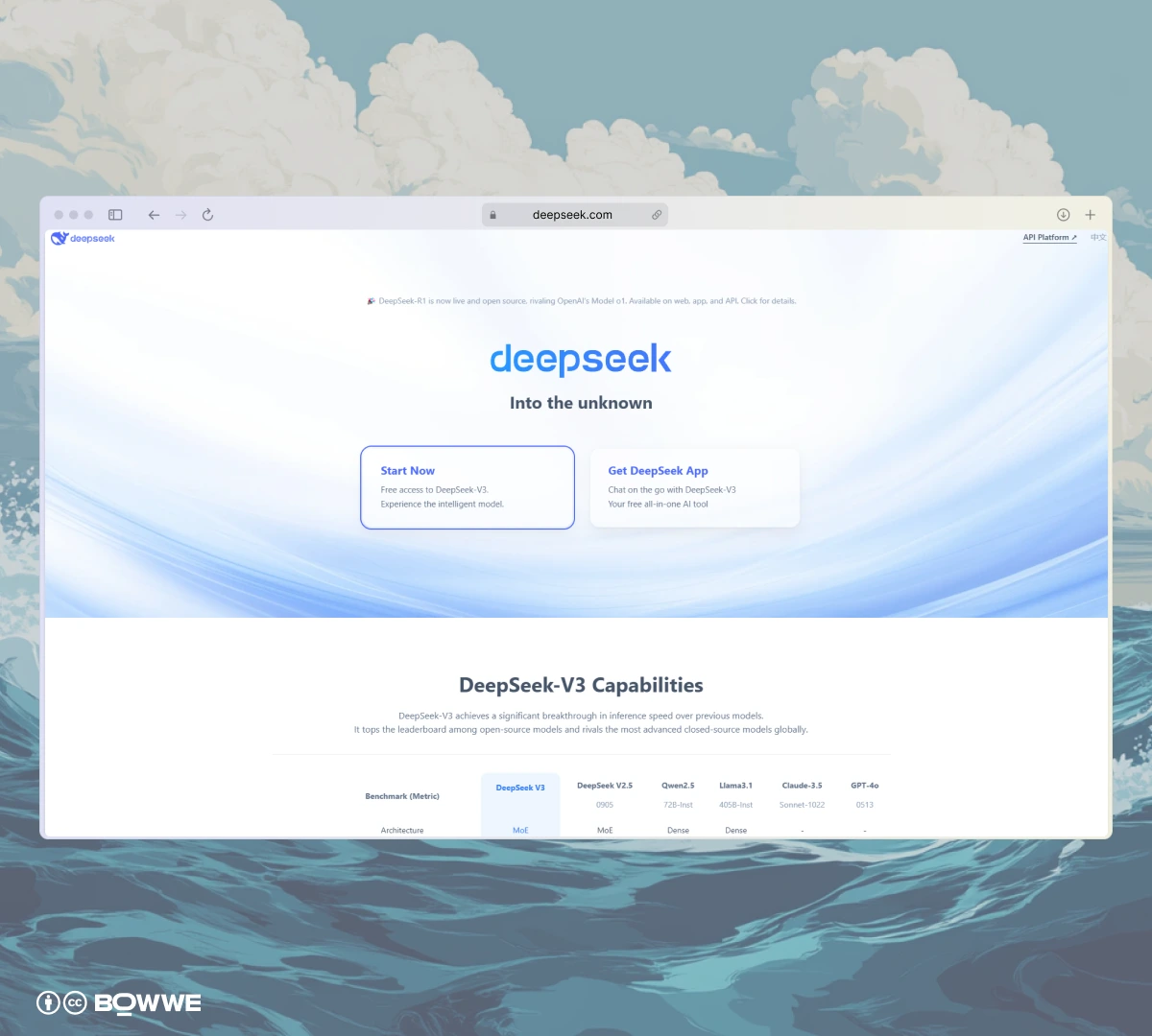 Privacidade e segurança ao usar o DeepSeek