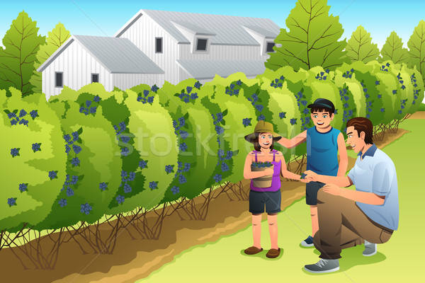 Como era o Colheita Feliz no Orkut: Uma viagem no tempo