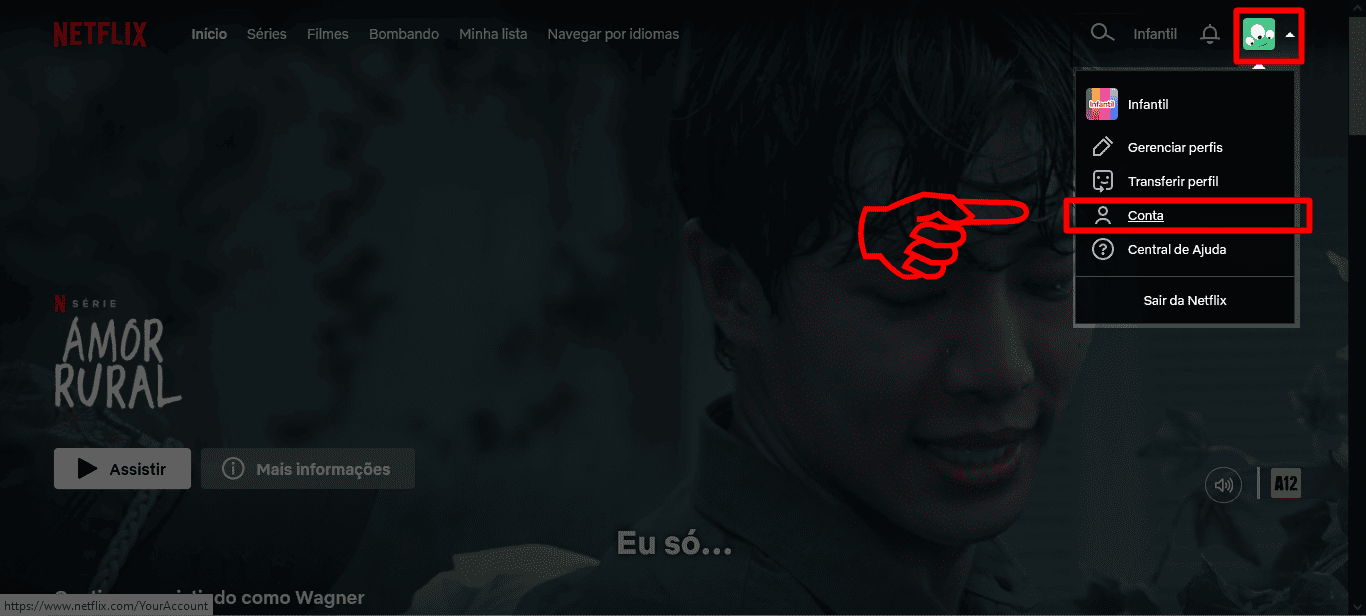 como sai da netflix na tv