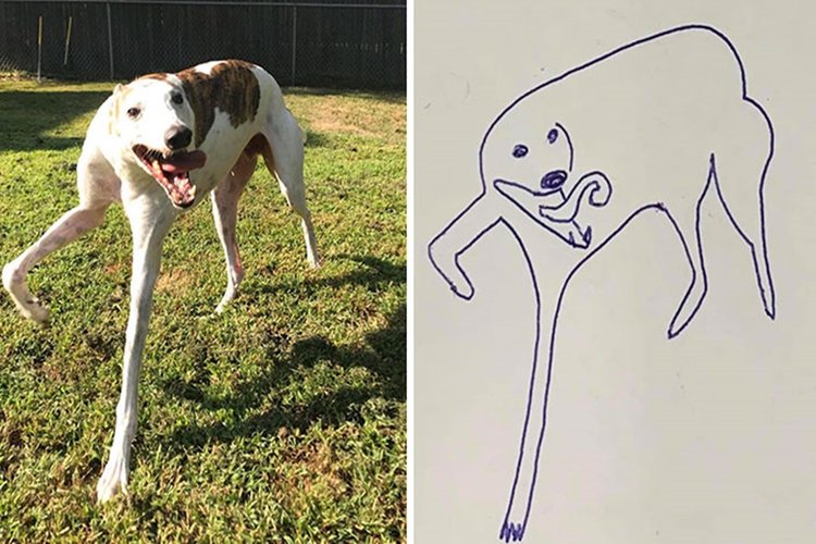 melhores desenhos engraçados para assistir online