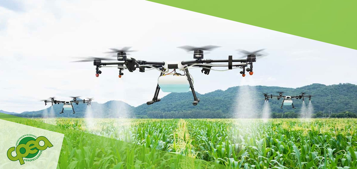 4. Pecuária de Precisão: O Papel Essencial dos Drones no Manejo de Gado