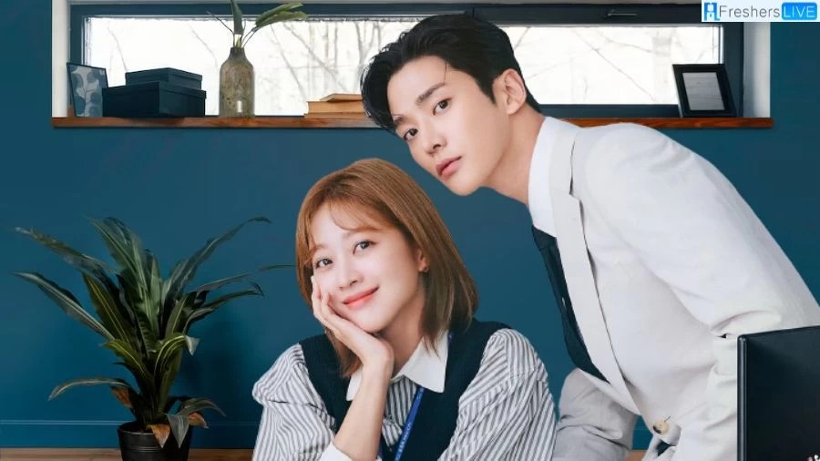 Quem é quem no elenco de Nosso Destino?