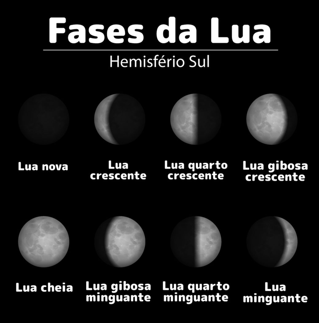 O impacto da lua no comportamento animal