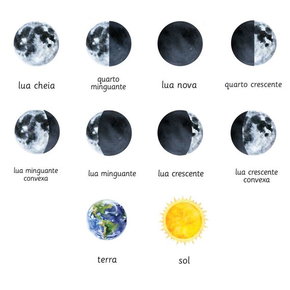 A influência da lua na agricultura e jardinagem