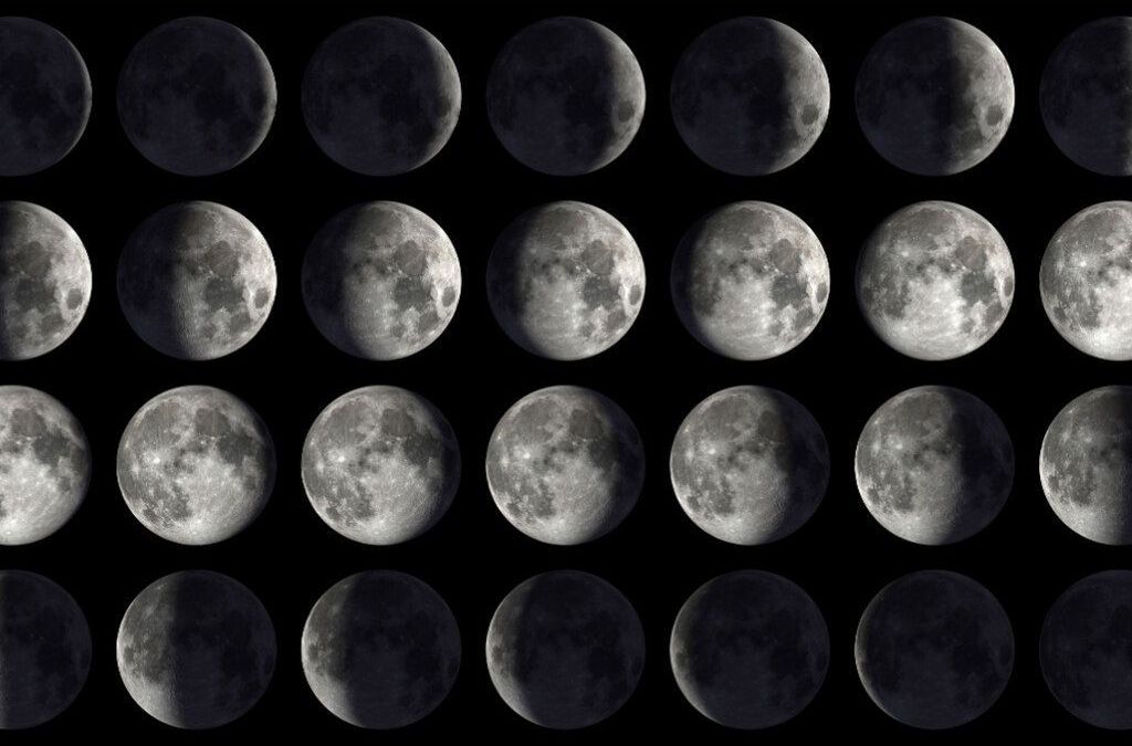 O impacto da lua no comportamento animal