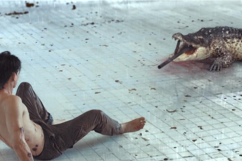 Os 10 Melhores Filmes de Crocodilos para Te Dar Arrepios