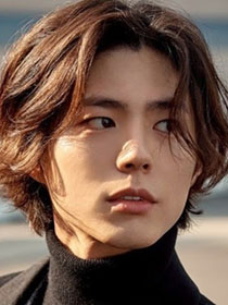 De 'Reply 1988' a 'The Seasons': A Evolução da Carreira de Park Bo-gum