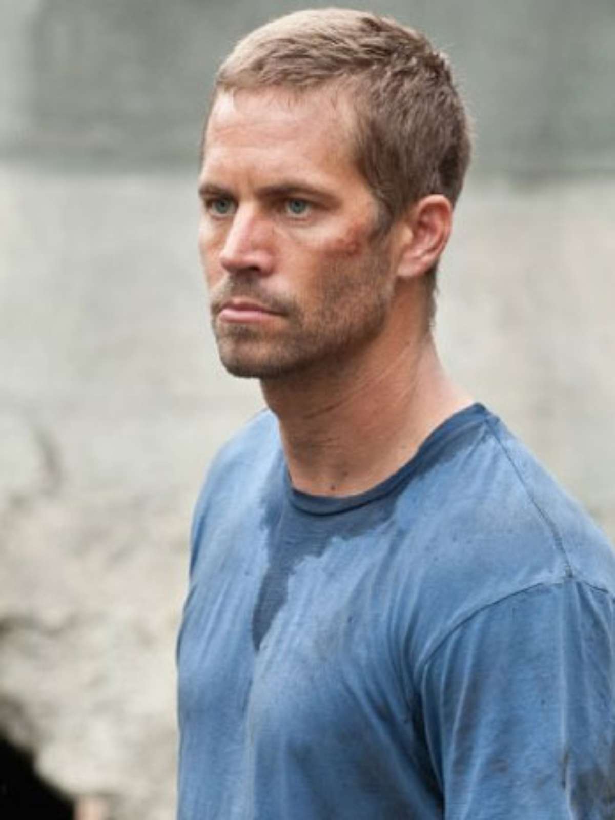 Os cães de 'Resgate Abaixo de Zero'