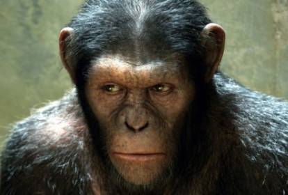 King Kong: Todas as Versões do Clássico Monstro