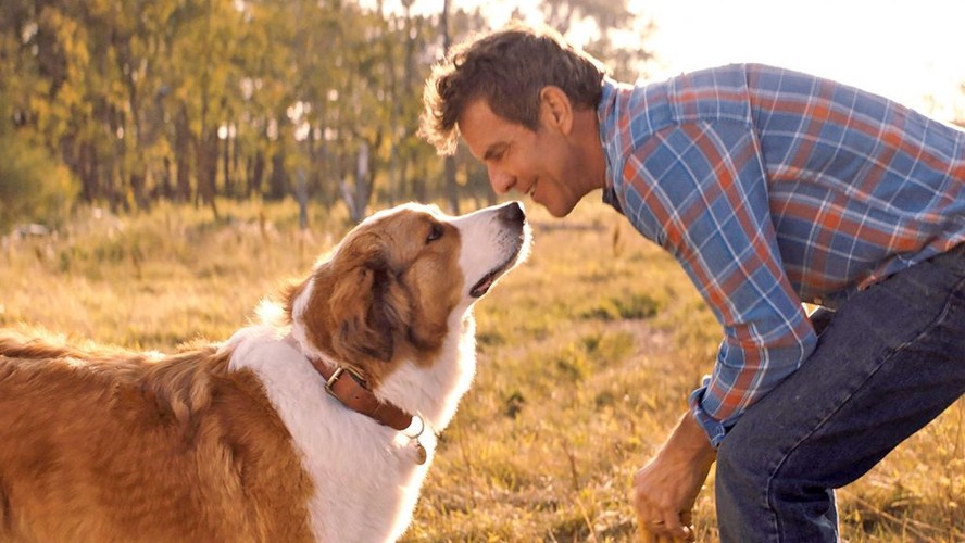 K-dramas de Reencarnação: Séries para Maratonar na Netflix